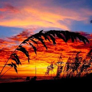 Meet your Posher, Debra